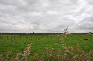 Uitzicht op natuurgebied